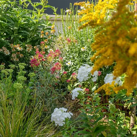 Village Nature Prázdninový dům